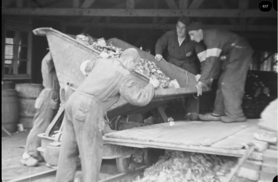 16mm b&w film shot in camp Westerbork in 1944, today known as Westerbork film, public domain
