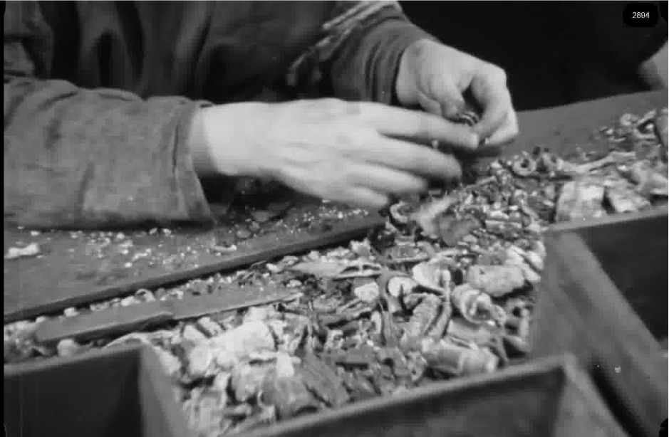 16mm b&w film shot in camp Westerbork in 1944, today known as Westerbork film, public domain