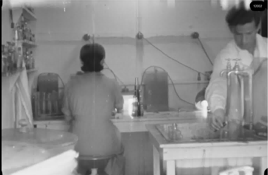 16mm b&w film shot in camp Westerbork in 1944, today known as Westerbork film, public domain