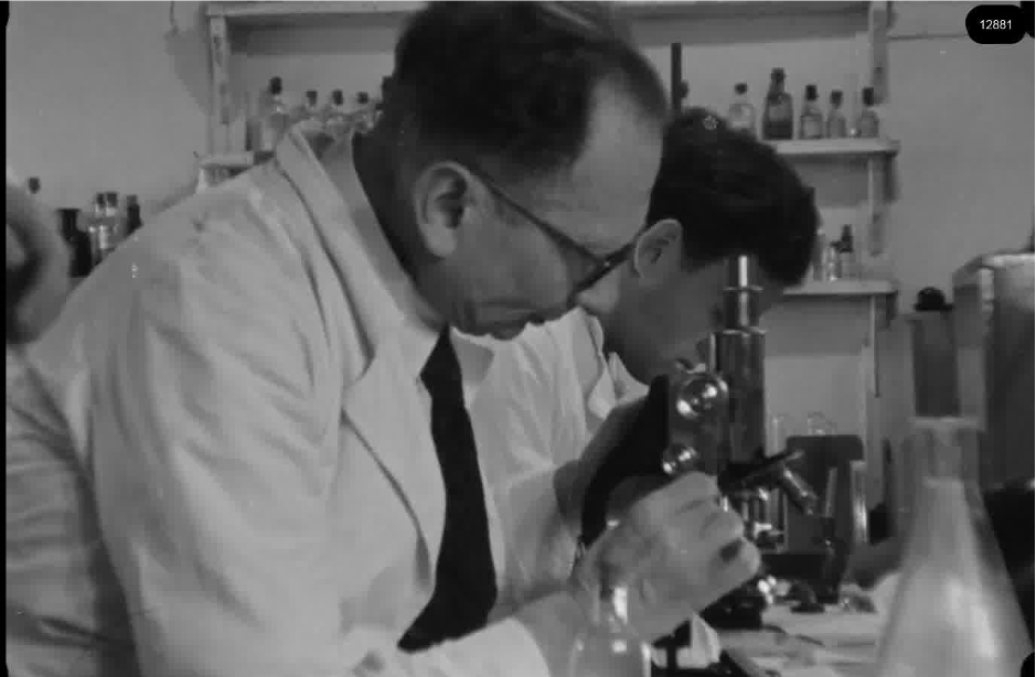 16mm b&w film shot in camp Westerbork in 1944, today known as Westerbork film, public domain