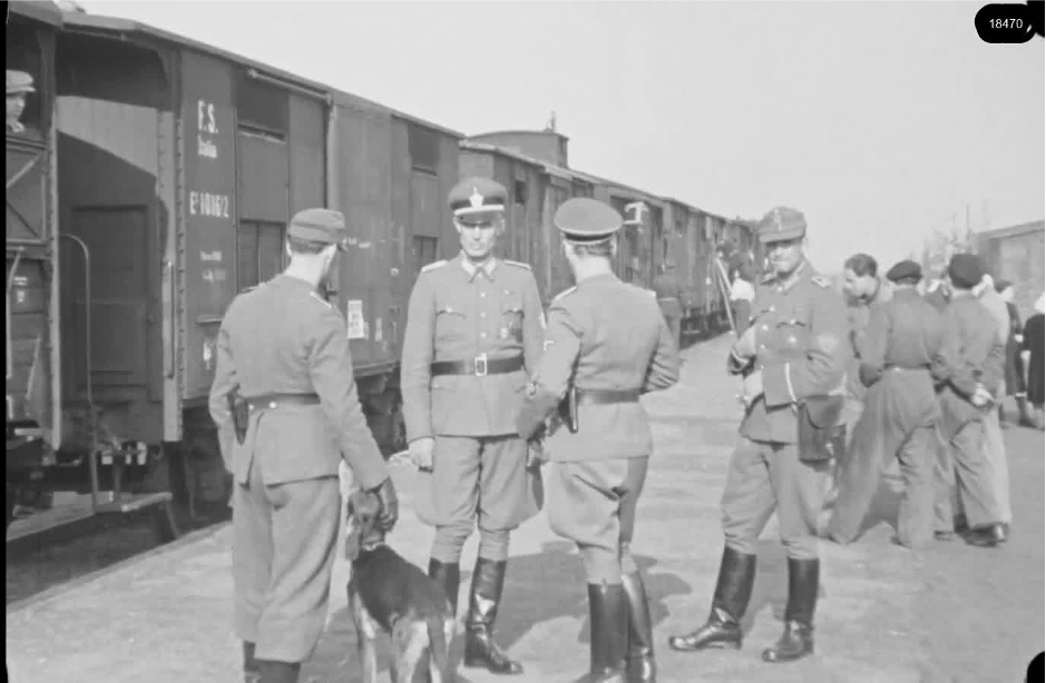 16mm b&w film shot in camp Westerbork in 1944, today known as Westerbork film, public domain
