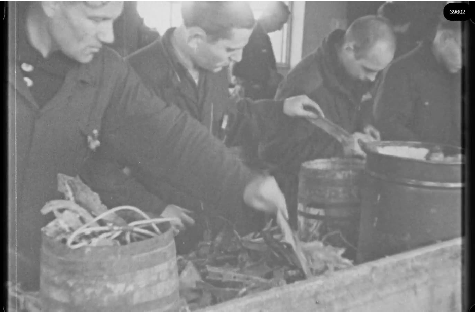 16mm b&w film shot in camp Westerbork in 1944, today known as Westerbork film, public domain