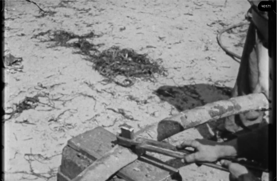 16mm b&w film shot in camp Westerbork in 1944, today known as Westerbork film, public domain