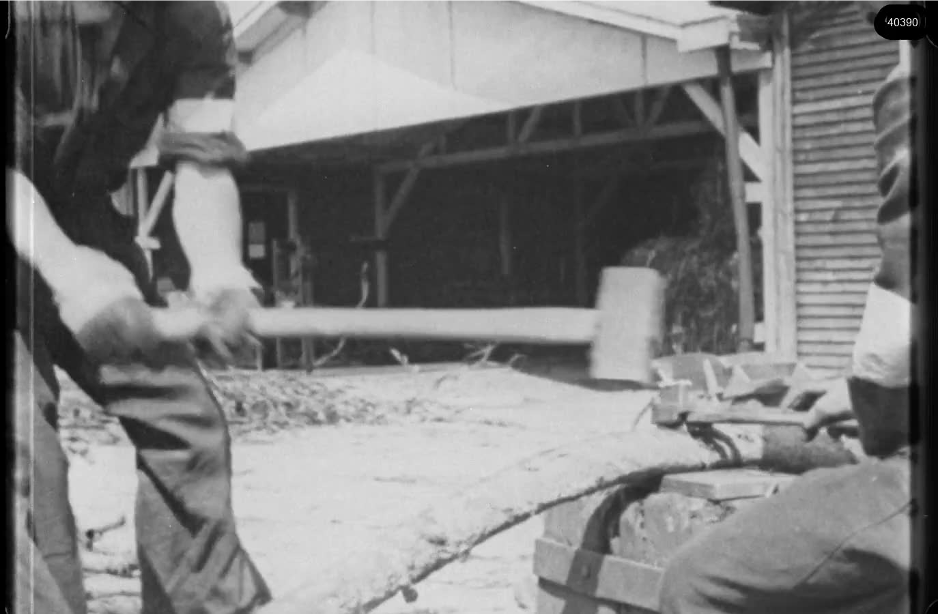 16mm b&w film shot in camp Westerbork in 1944, today known as Westerbork film, public domain