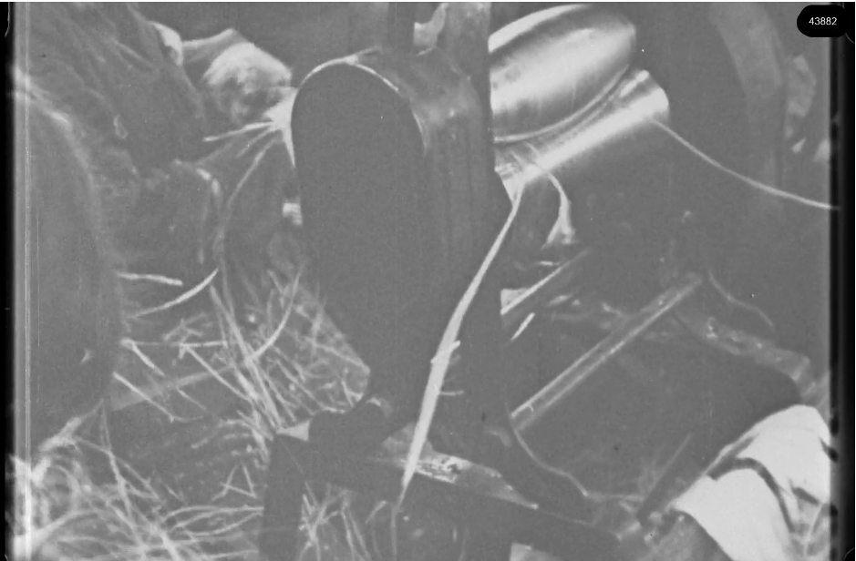 16mm b&w film shot in camp Westerbork in 1944, today known as Westerbork film, public domain