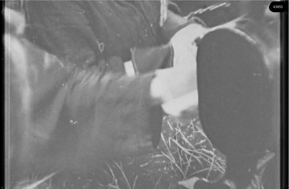 16mm b&w film shot in camp Westerbork in 1944, today known as Westerbork film, public domain