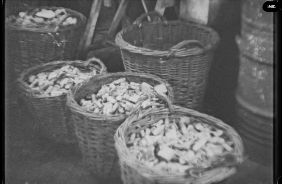 16mm b&w film shot in camp Westerbork in 1944, today known as Westerbork film, public domain