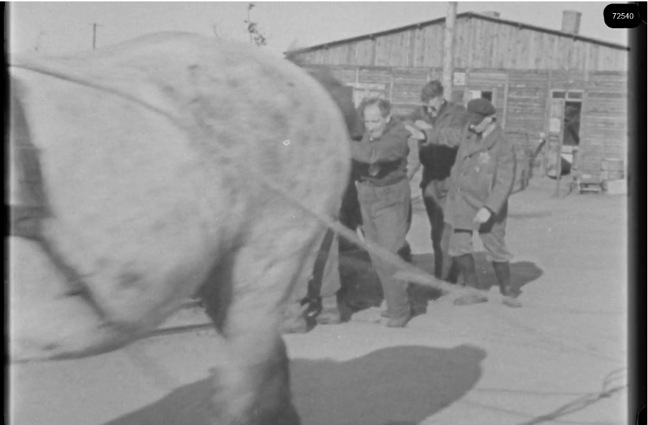 16mm b&w film shot in camp Westerbork in 1944, today known as Westerbork film, public domain
