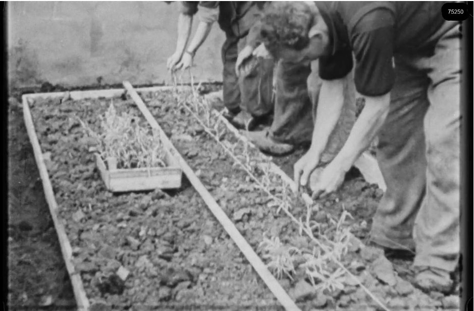 16mm b&w film shot in camp Westerbork in 1944, today known as Westerbork film, public domain