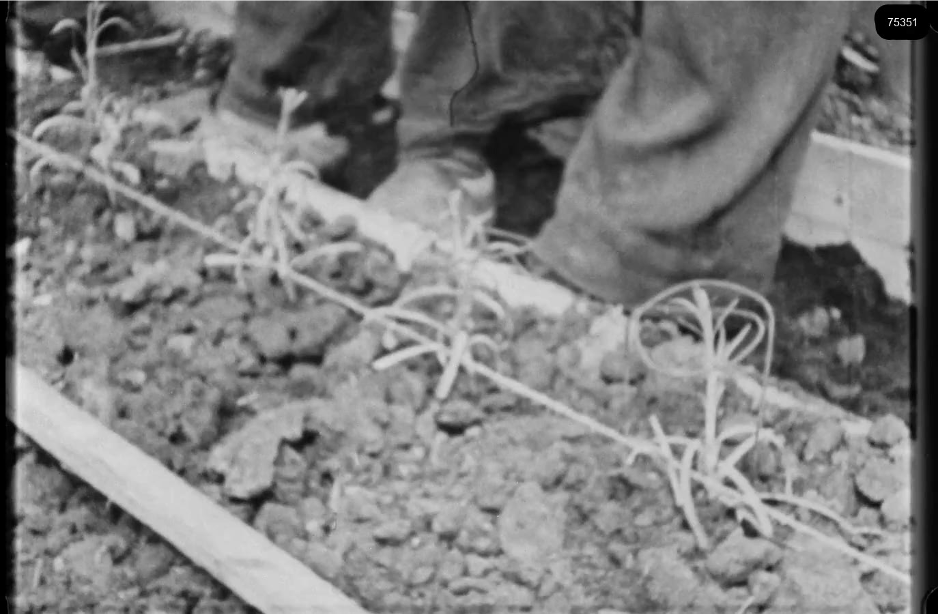 16mm b&w film shot in camp Westerbork in 1944, today known as Westerbork film, public domain