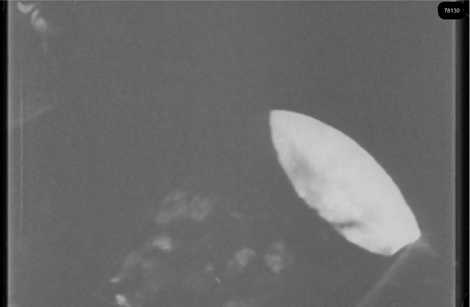 16mm b&w film shot in camp Westerbork in 1944, today known as Westerbork film, public domain