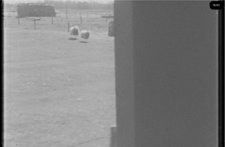 16mm b&w film shot in camp Westerbork in 1944, today known as Westerbork film, public domain