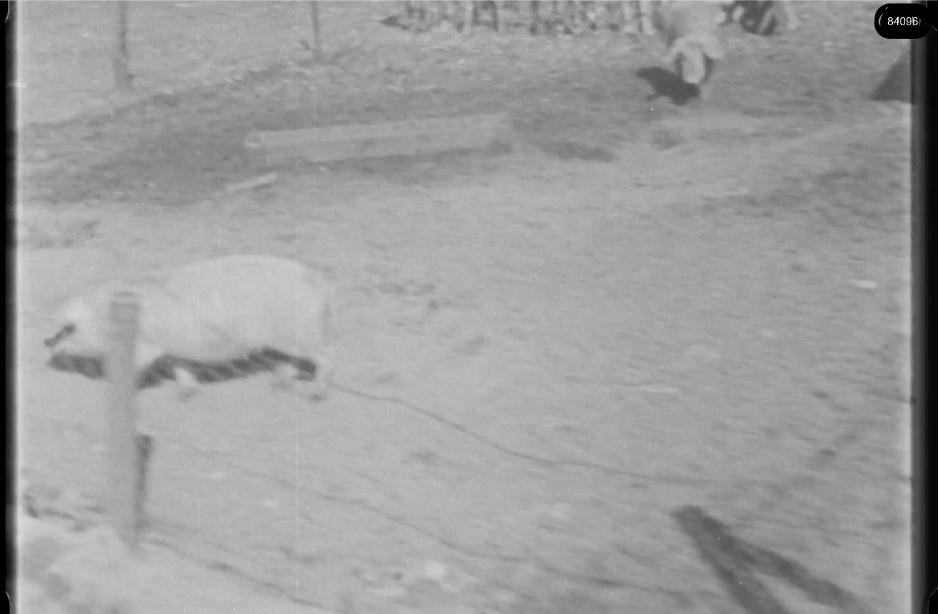 16mm b&w film shot in camp Westerbork in 1944, today known as Westerbork film, public domain