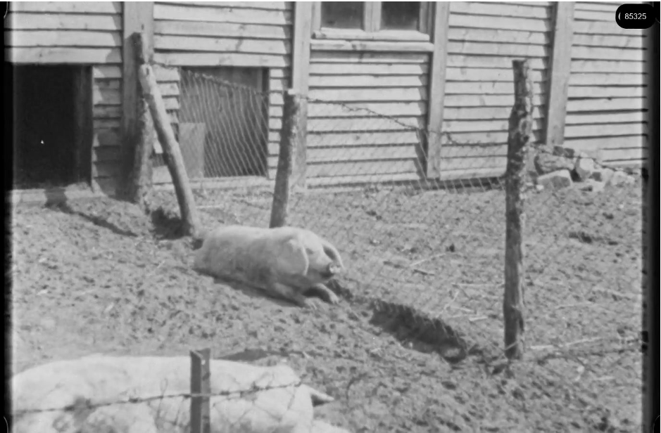 16mm b&w film shot in camp Westerbork in 1944, today known as Westerbork film, public domain