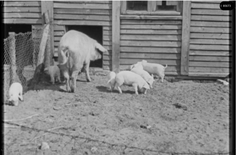 16mm b&w film shot in camp Westerbork in 1944, today known as Westerbork film, public domain
