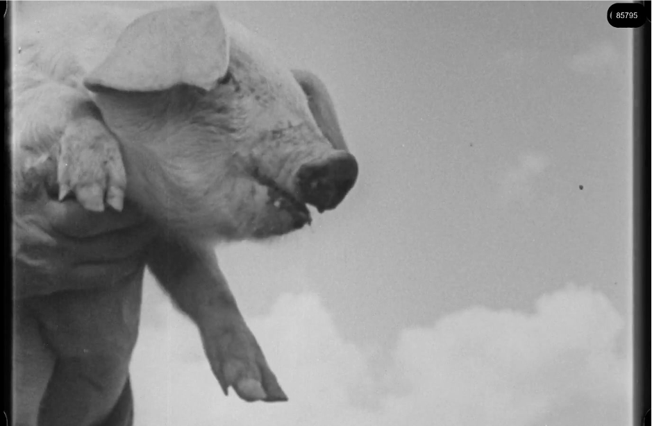 16mm b&w film shot in camp Westerbork in 1944, today known as Westerbork film, public domain