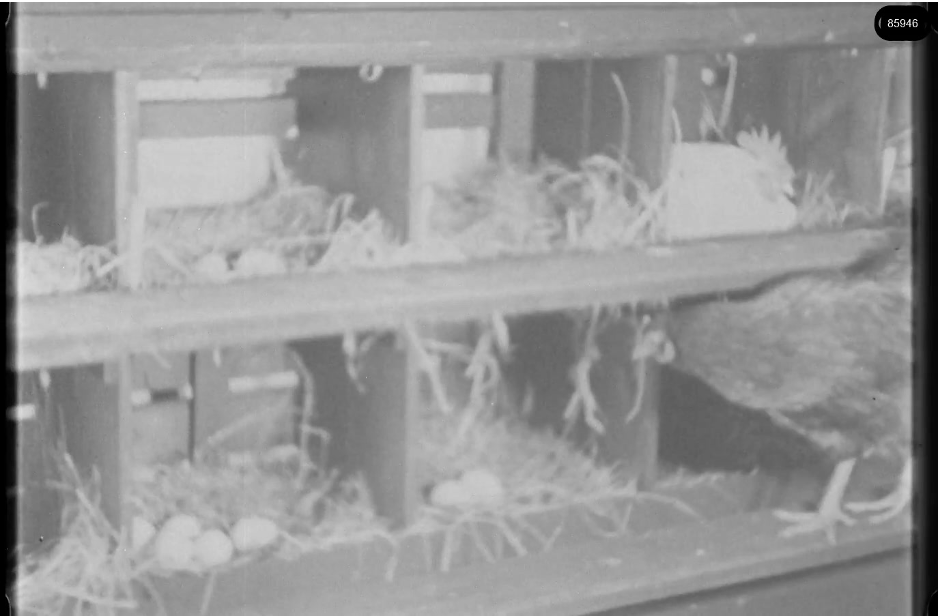 16mm b&w film shot in camp Westerbork in 1944, today known as Westerbork film, public domain