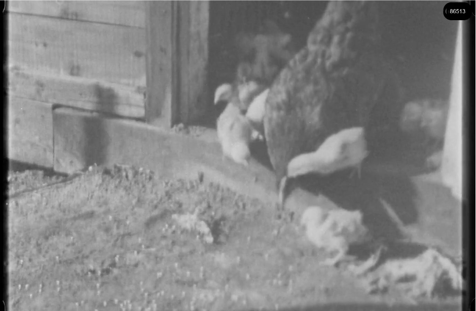 16mm b&w film shot in camp Westerbork in 1944, today known as Westerbork film, public domain