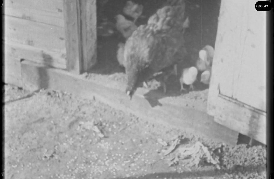16mm b&w film shot in camp Westerbork in 1944, today known as Westerbork film, public domain