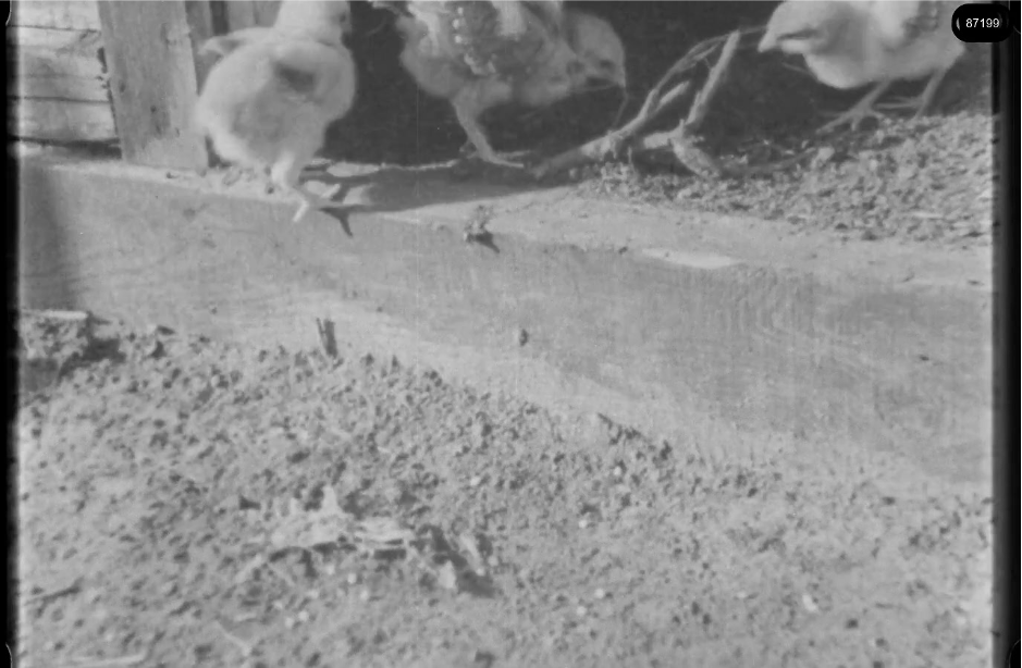 16mm b&w film shot in camp Westerbork in 1944, today known as Westerbork film, public domain