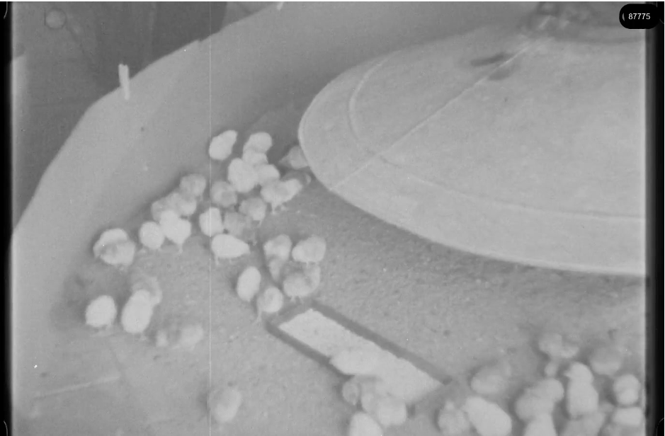 16mm b&w film shot in camp Westerbork in 1944, today known as Westerbork film, public domain