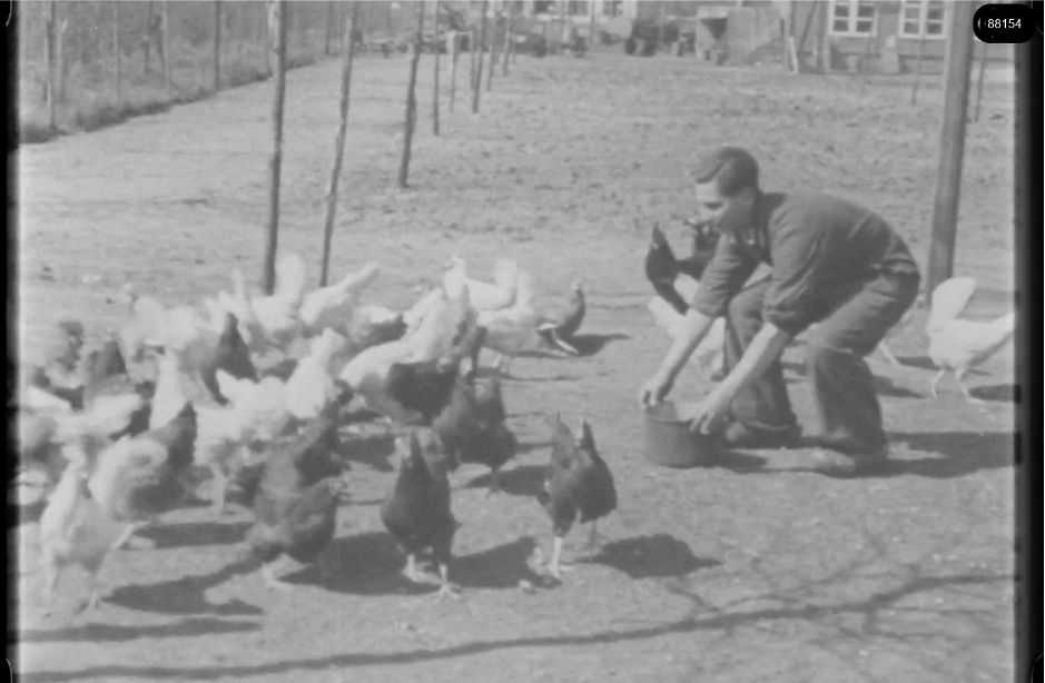 16mm b&w film shot in camp Westerbork in 1944, today known as Westerbork film, public domain
