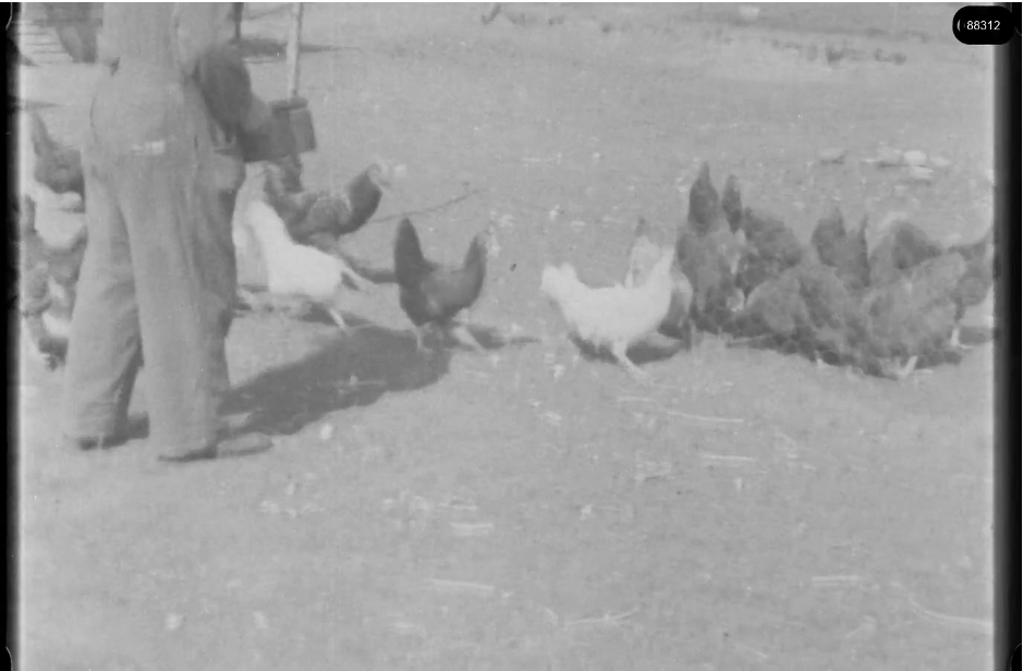 16mm b&w film shot in camp Westerbork in 1944, today known as Westerbork film, public domain