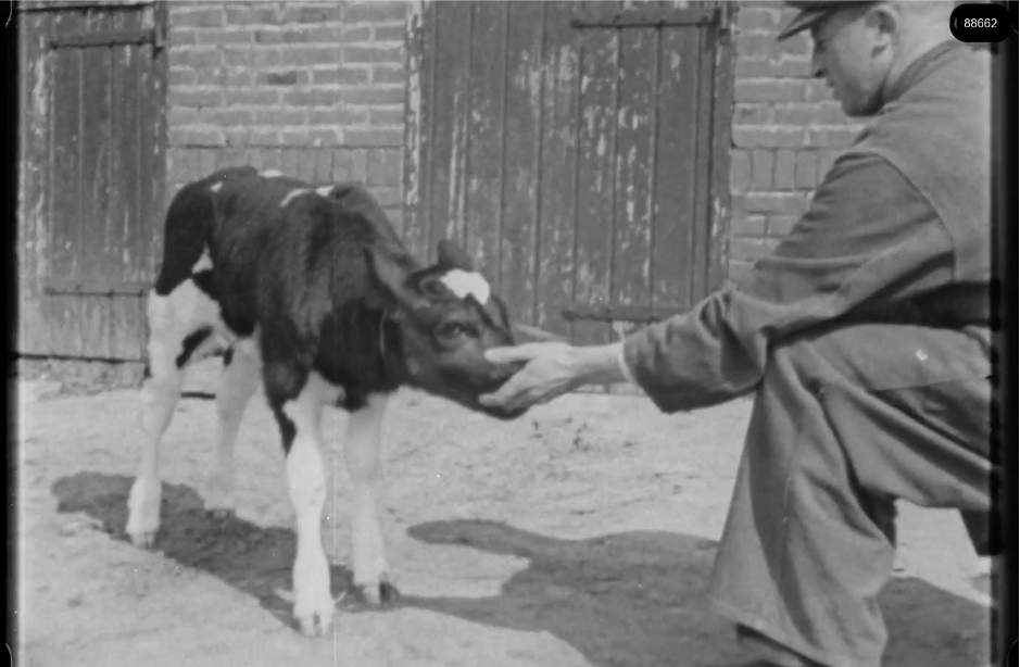 16mm b&w film shot in camp Westerbork in 1944, today known as Westerbork film, public domain