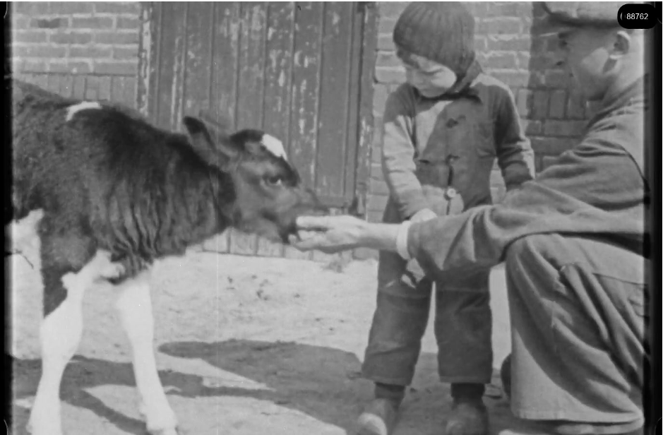 16mm b&w film shot in camp Westerbork in 1944, today known as Westerbork film, public domain