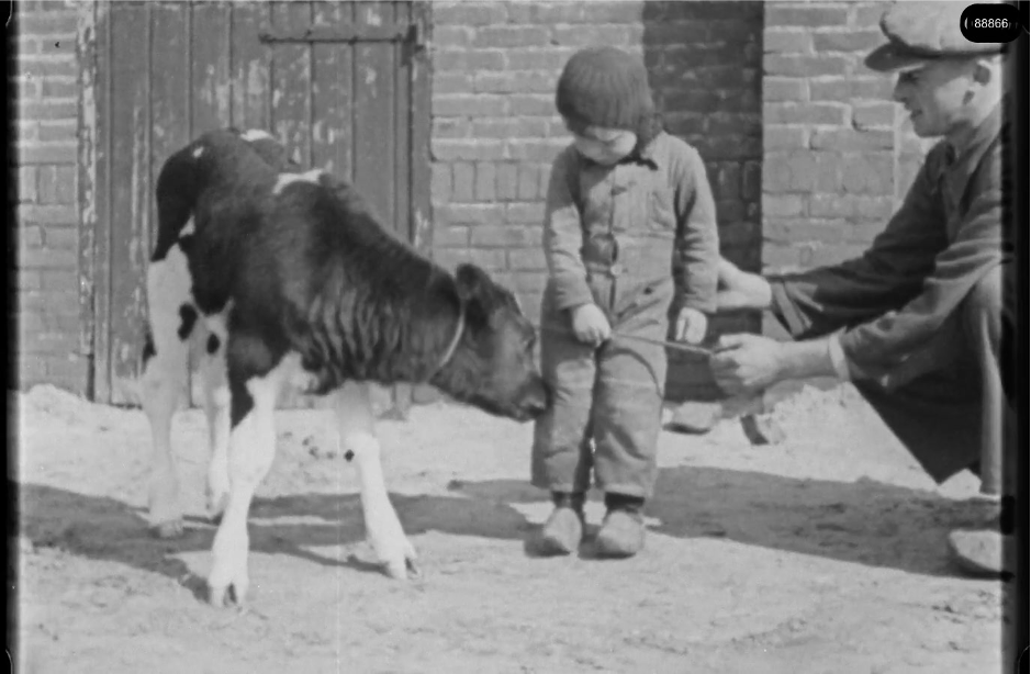 16mm b&w film shot in camp Westerbork in 1944, today known as Westerbork film, public domain