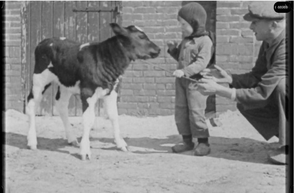 16mm b&w film shot in camp Westerbork in 1944, today known as Westerbork film, public domain