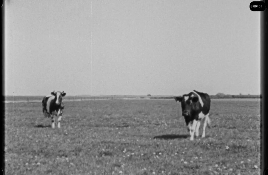 16mm b&w film shot in camp Westerbork in 1944, today known as Westerbork film, public domain