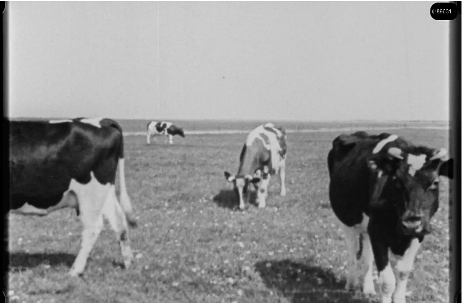 16mm b&w film shot in camp Westerbork in 1944, today known as Westerbork film, public domain