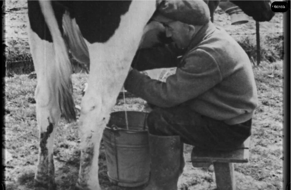 16mm b&w film shot in camp Westerbork in 1944, today known as Westerbork film, public domain