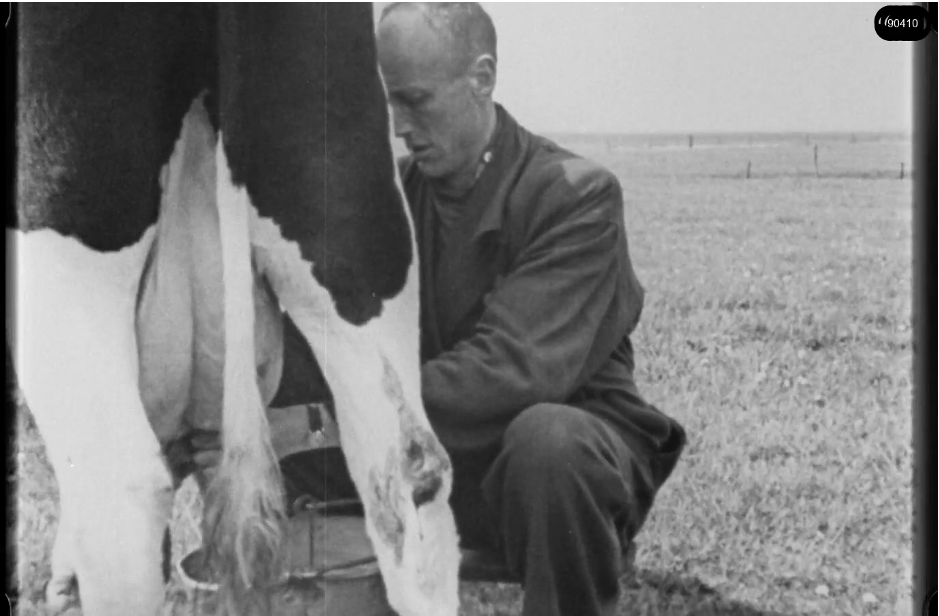 16mm b&w film shot in camp Westerbork in 1944, today known as Westerbork film, public domain