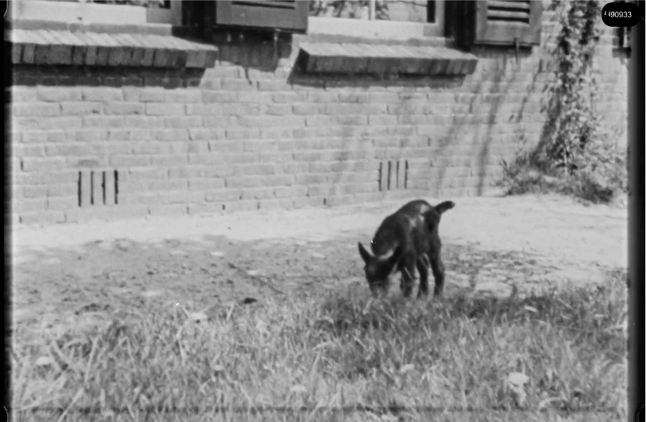 16mm b&w film shot in camp Westerbork in 1944, today known as Westerbork film, public domain