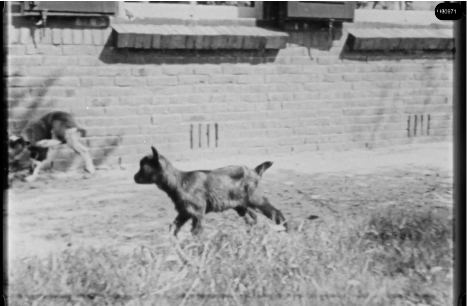 16mm b&w film shot in camp Westerbork in 1944, today known as Westerbork film, public domain