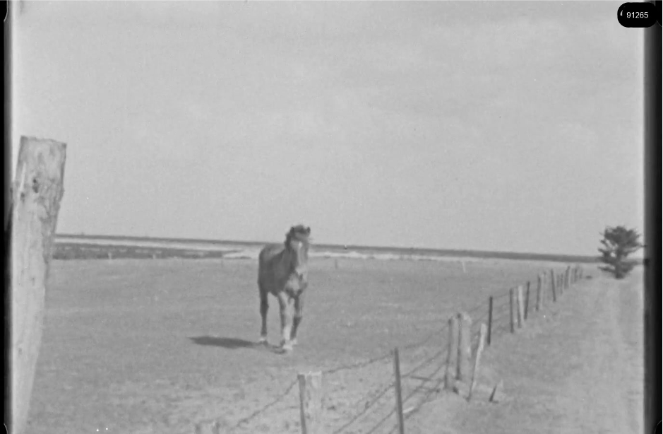 16mm b&w film shot in camp Westerbork in 1944, today known as Westerbork film, public domain