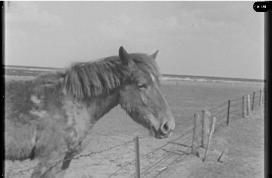16mm b&w film shot in camp Westerbork in 1944, today known as Westerbork film, public domain
