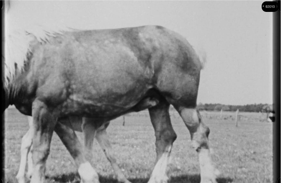 16mm b&w film shot in camp Westerbork in 1944, today known as Westerbork film, public domain