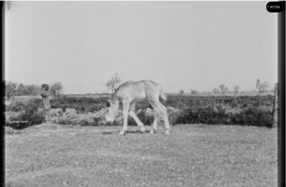 16mm b&w film shot in camp Westerbork in 1944, today known as Westerbork film, public domain