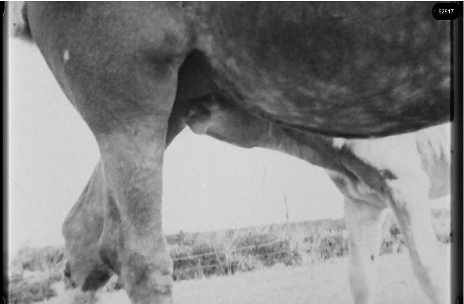 16mm b&w film shot in camp Westerbork in 1944, today known as Westerbork film, public domain
