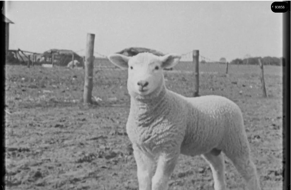 16mm b&w film shot in camp Westerbork in 1944, today known as Westerbork film, public domain