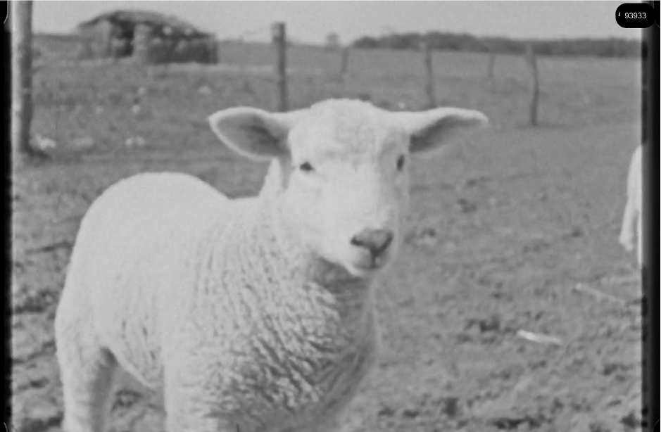 16mm b&w film shot in camp Westerbork in 1944, today known as Westerbork film, public domain