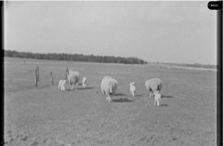 16mm b&w film shot in camp Westerbork in 1944, today known as Westerbork film, public domain