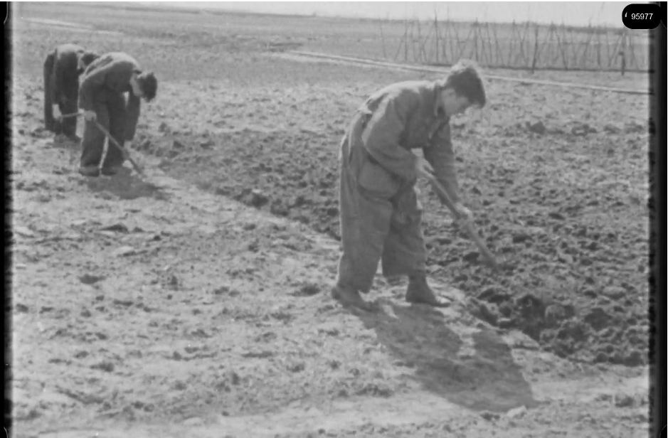 16mm b&w film shot in camp Westerbork in 1944, today known as Westerbork film, public domain