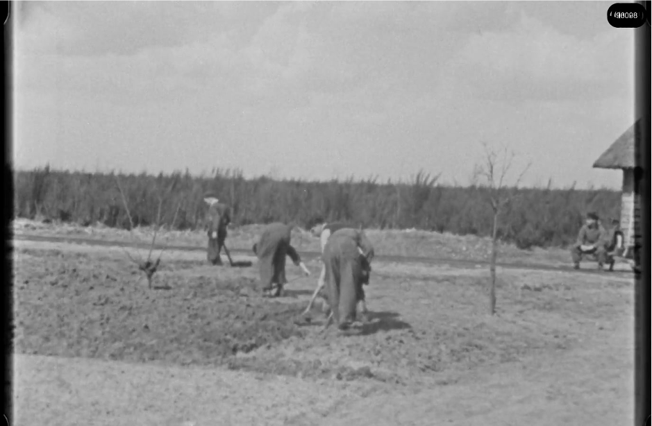 16mm b&w film shot in camp Westerbork in 1944, today known as Westerbork film, public domain