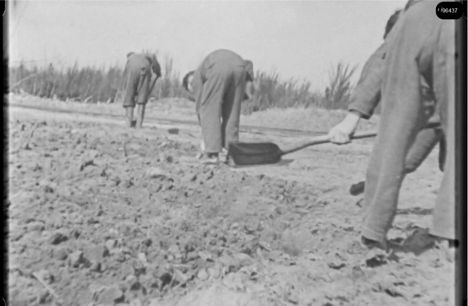 16mm b&w film shot in camp Westerbork in 1944, today known as Westerbork film, public domain