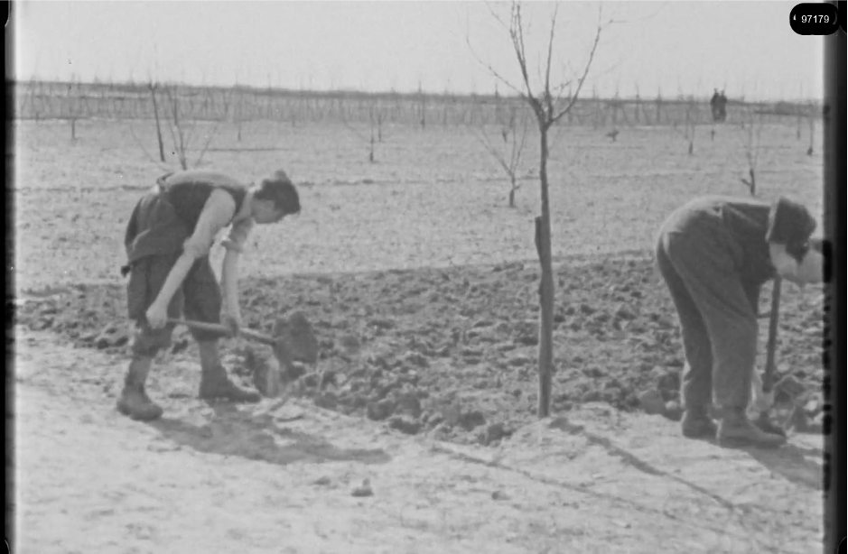 16mm b&w film shot in camp Westerbork in 1944, today known as Westerbork film, public domain