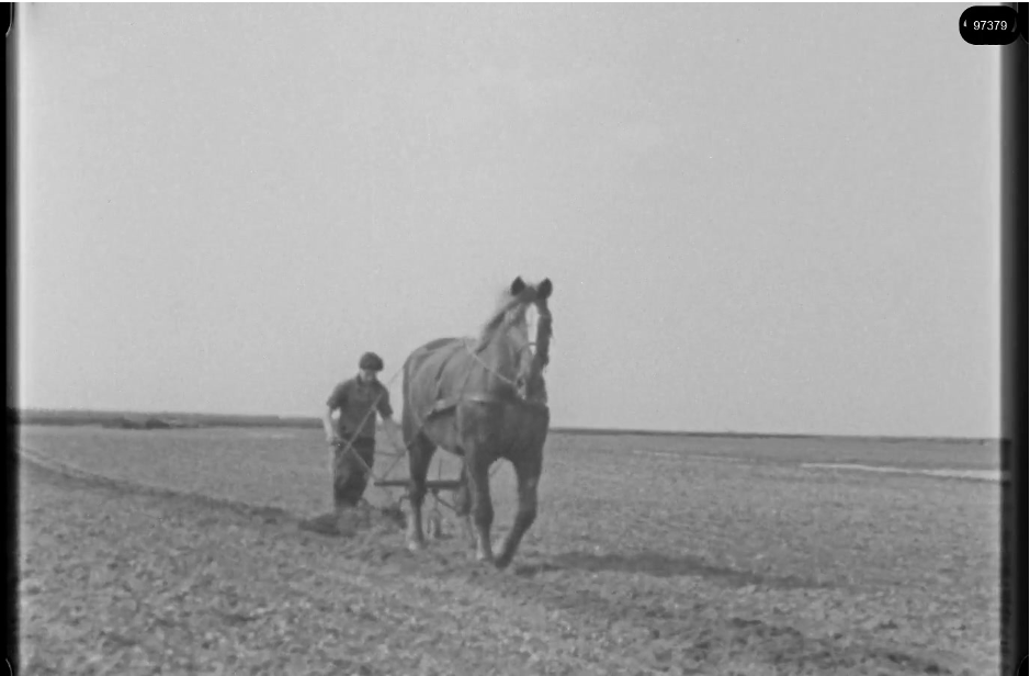16mm b&w film shot in camp Westerbork in 1944, today known as Westerbork film, public domain